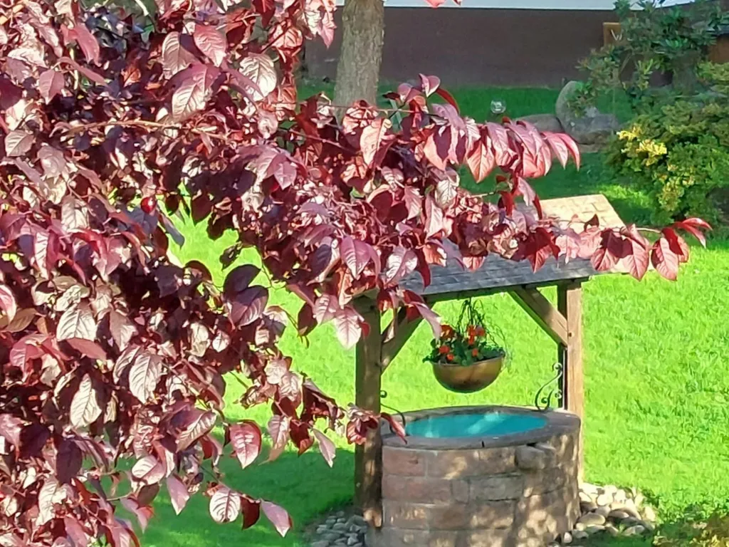 Idylle im Rebland "Alde Gott"