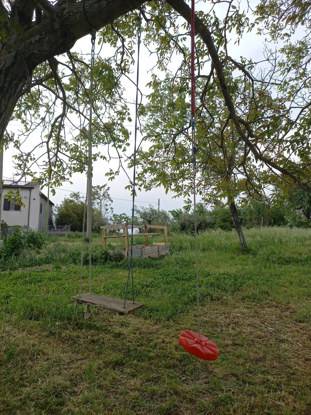 Il Mandorlo Selvatico