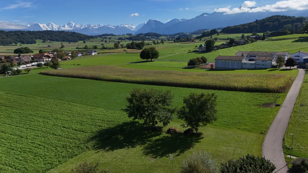 Relaxen im Grünen mit Blick auf die Berner Alpen