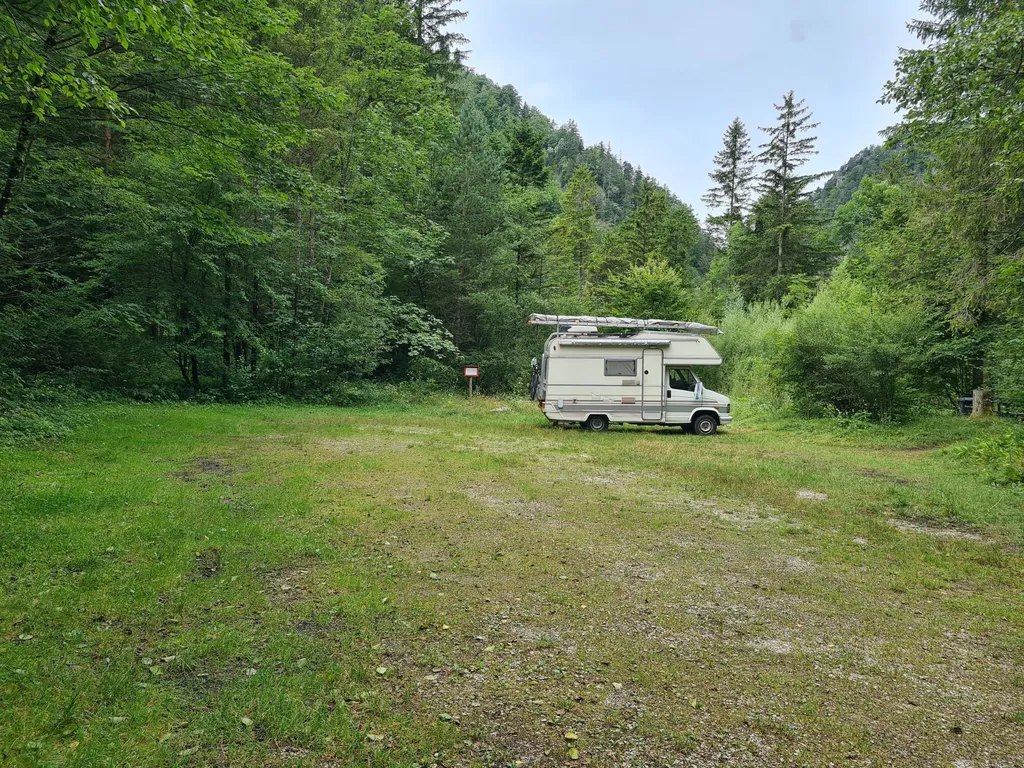 Campingwiese am Waldrand