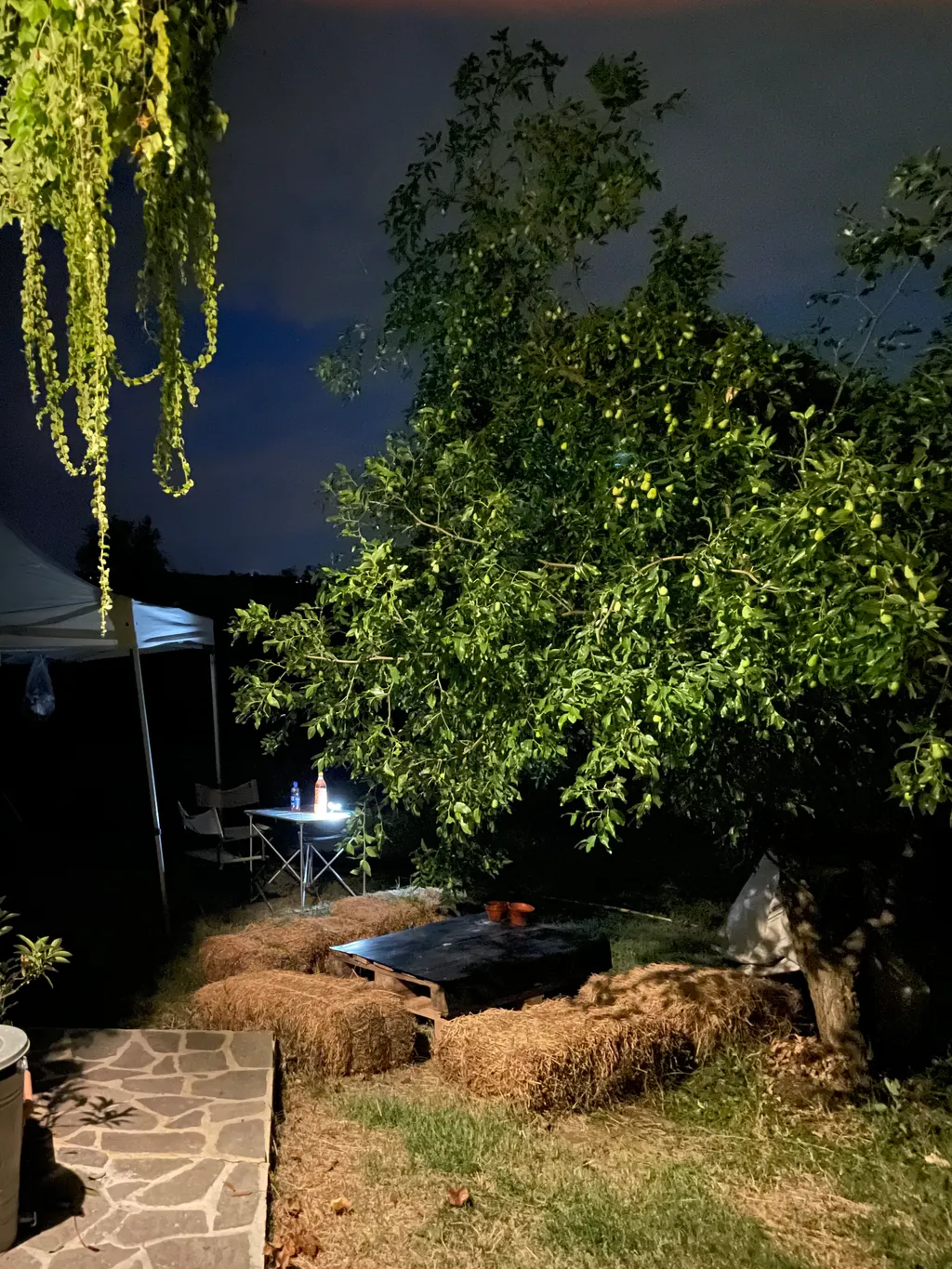 Bild von Katja für den Spot 1071