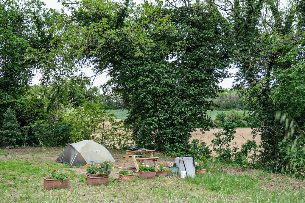 Camp gli Ulivi della Luca - Tenda