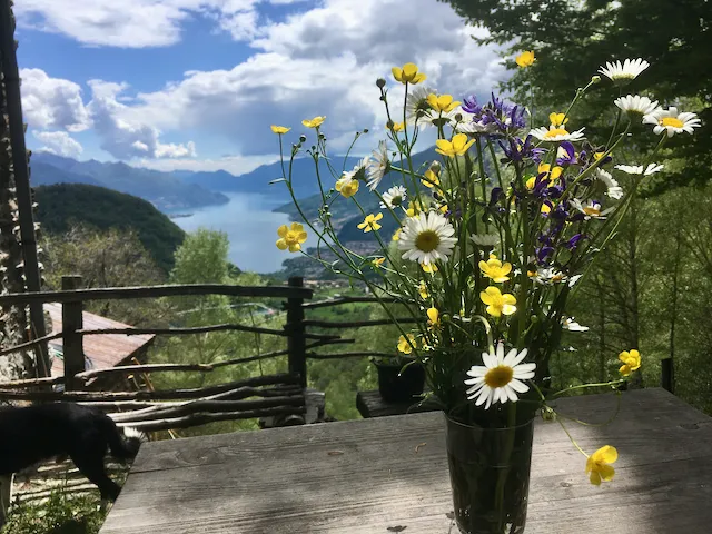 Berghütte mit Weitblick, Comer See - Villa Lupinia