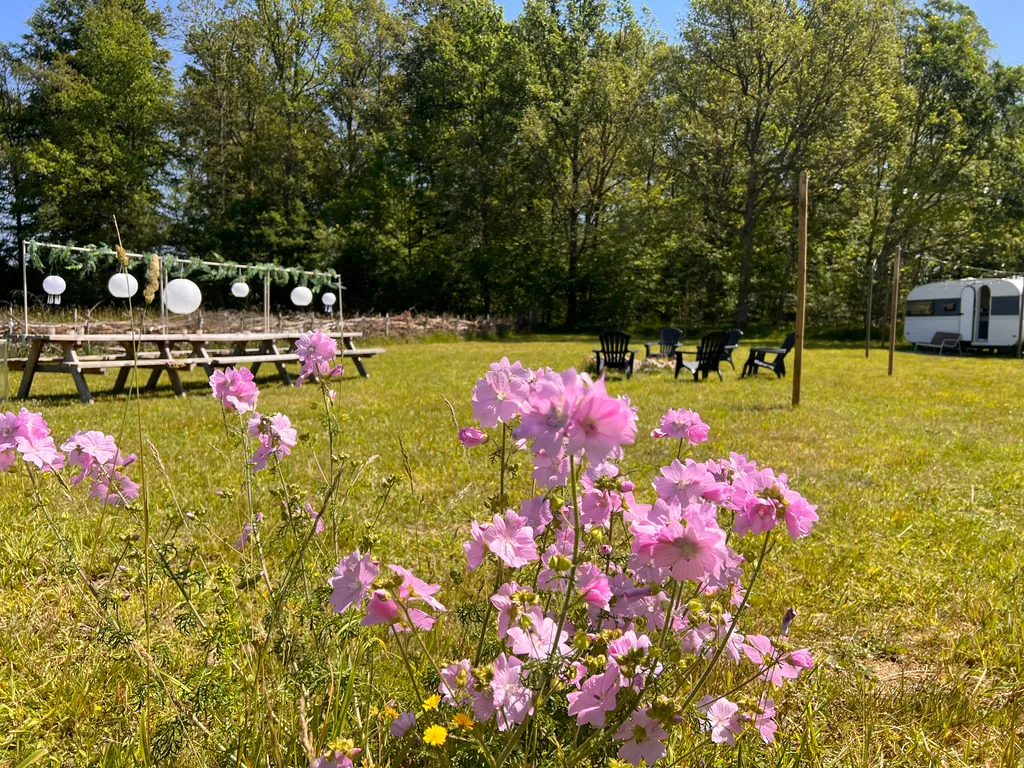Wolfsons Schweden – Naturcamp & Auszeit