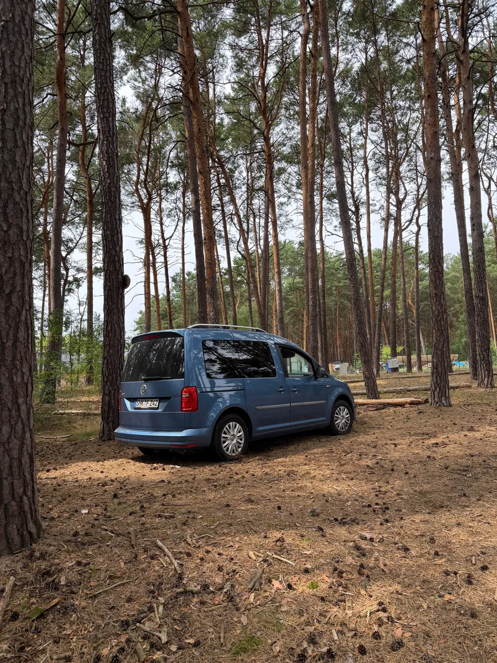 Bild von Anke für den Spot 2376