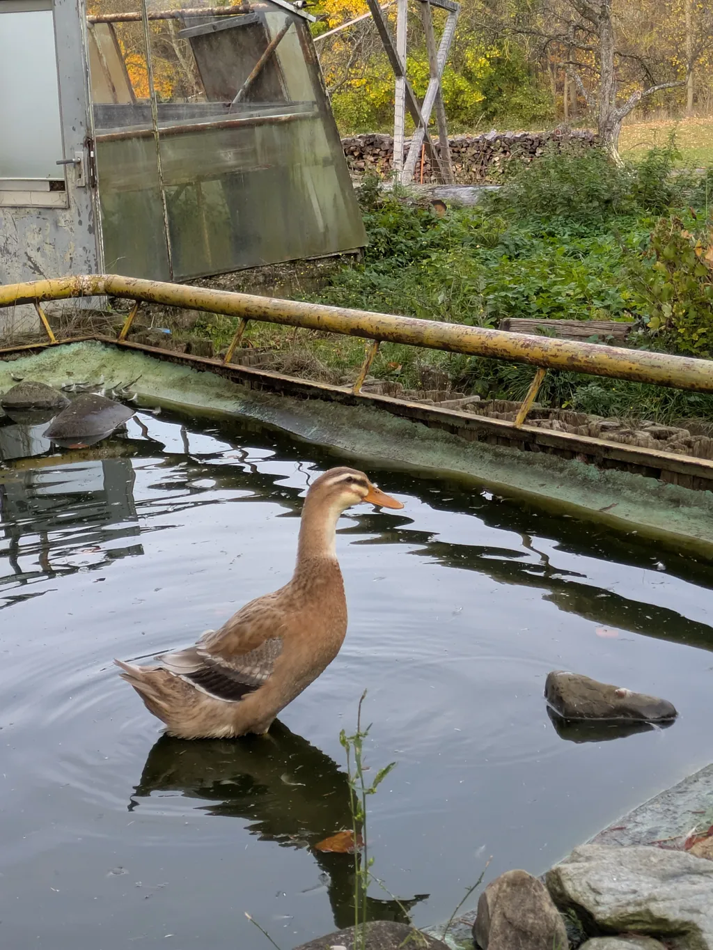 Bild von She-La für den Spot 1445