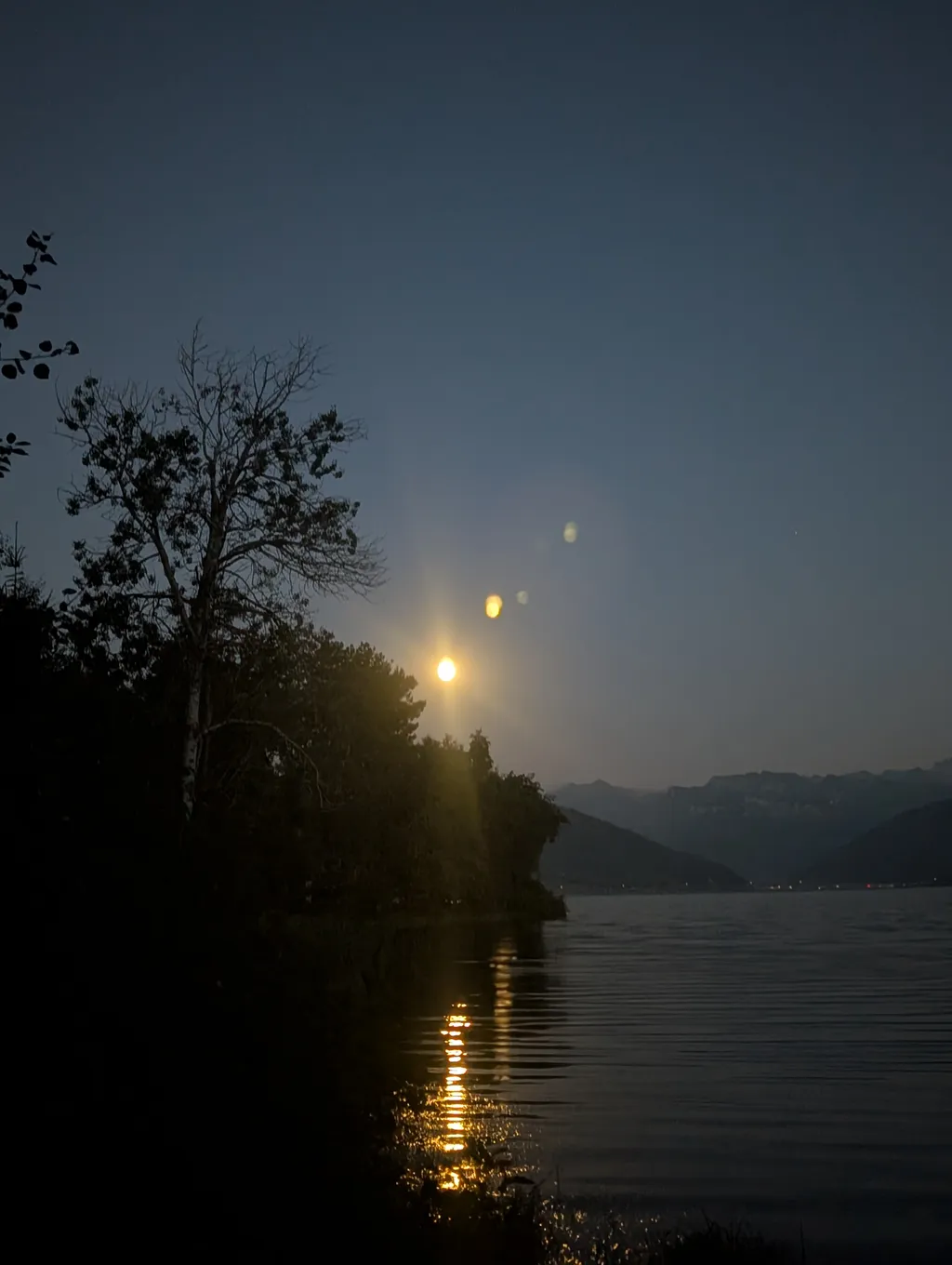 Bild von Tanja für den Spot 451