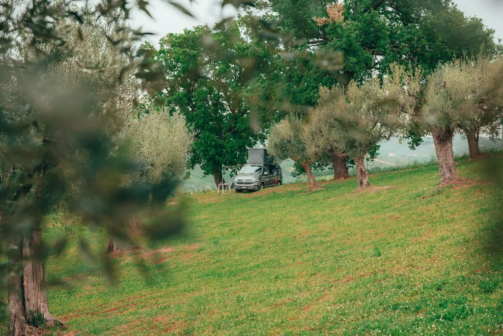 Camp L'officina dei sogni