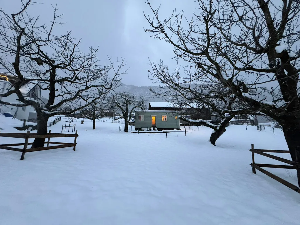 Tinyhouse mit Alpenblick