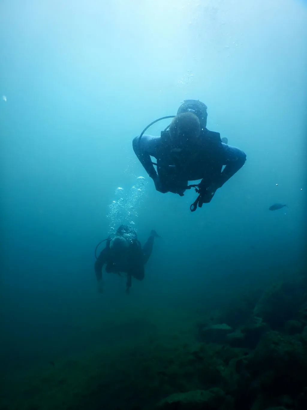 Photo de profil de Tobias