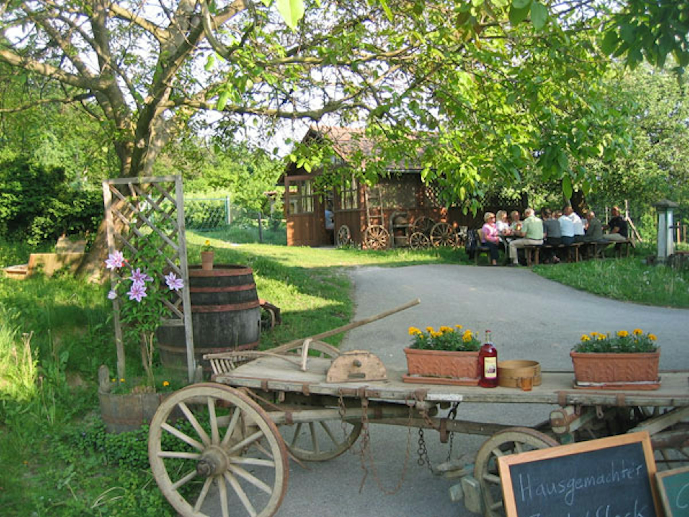 BIO-Weingarten in der Steiermark