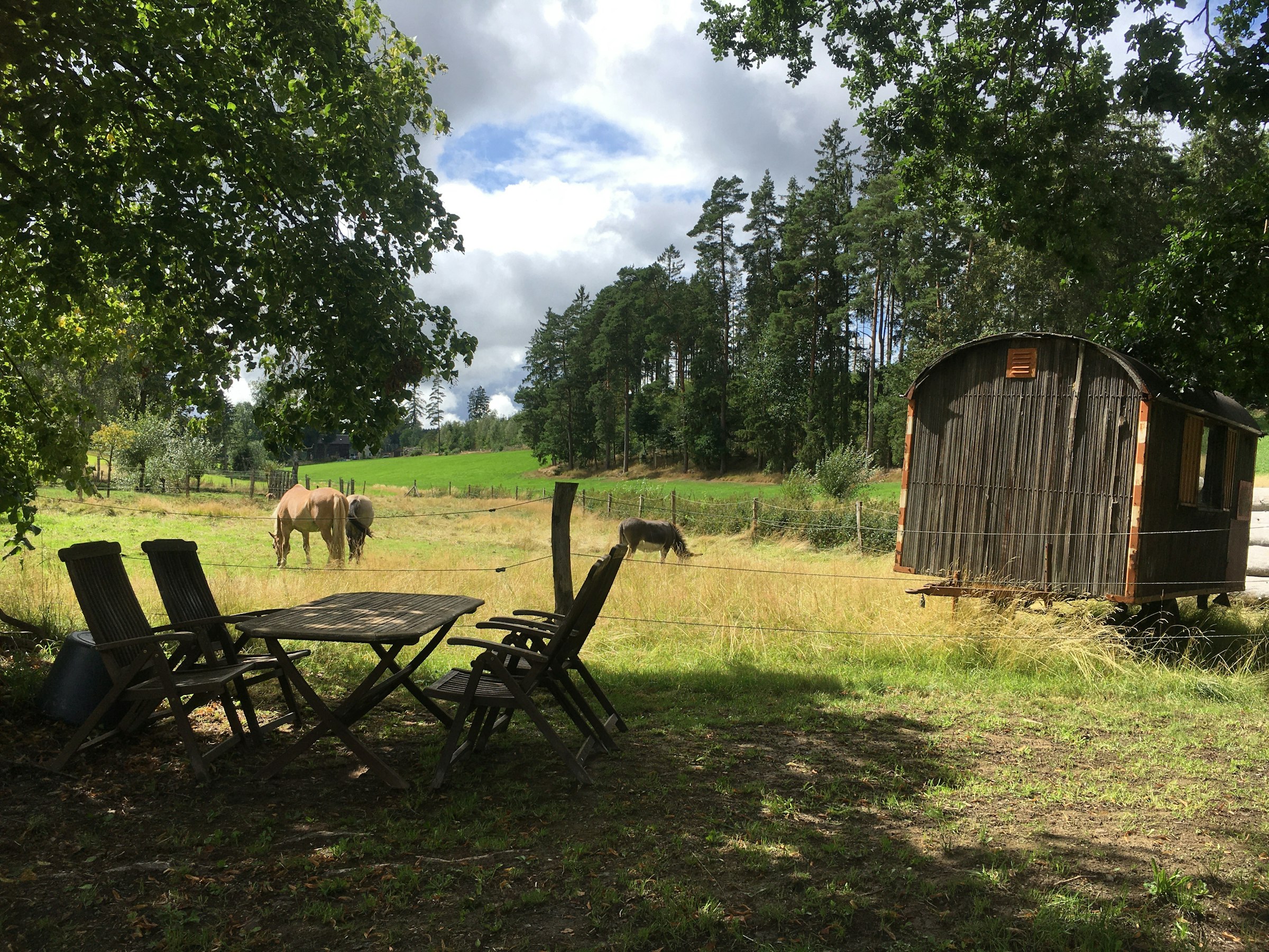 Bachtal im Frankenwald