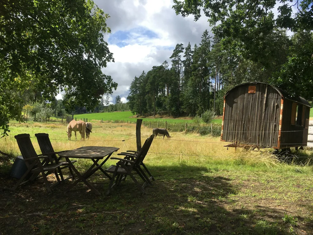 Bachtal im Frankenwald