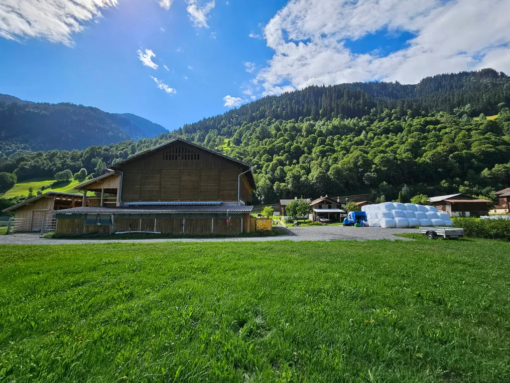 Auf unserem Hof / Luna-o-Sol