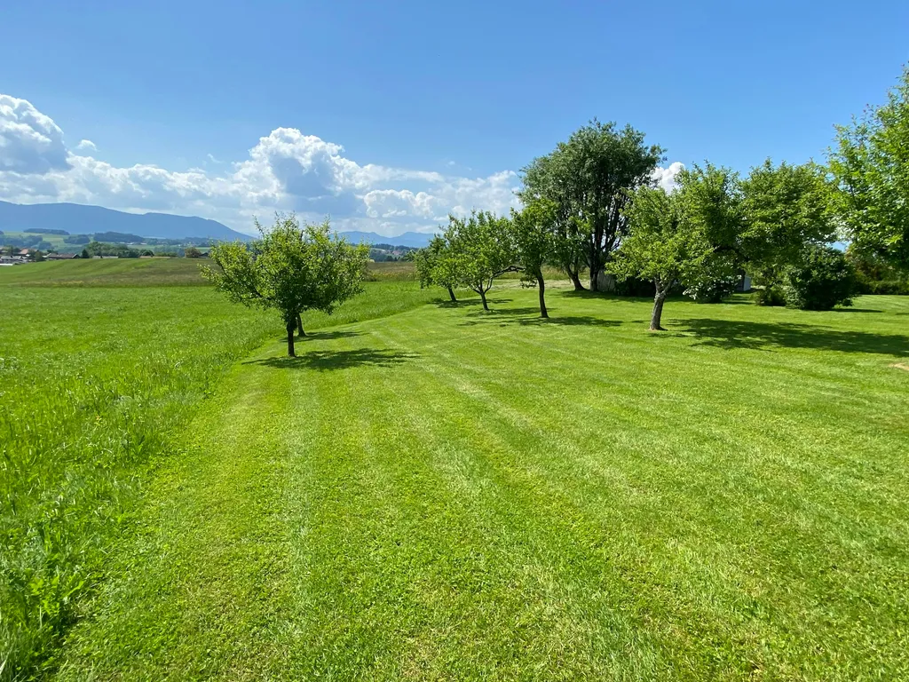 Obstanger, Sunset Place, Walser