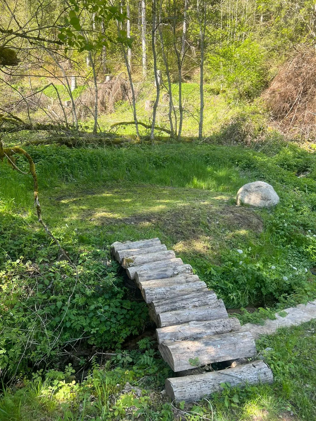 One-Night-Camp Schildbach