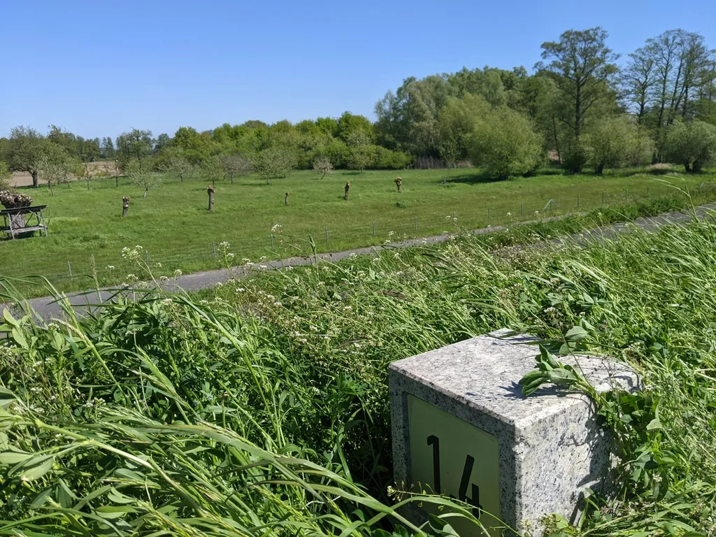 Obstwiese in Alleinlage an der Oder