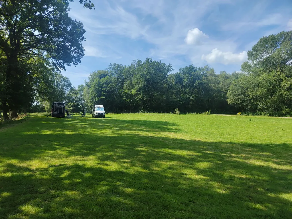 Kleine Weide unter Bäumen.