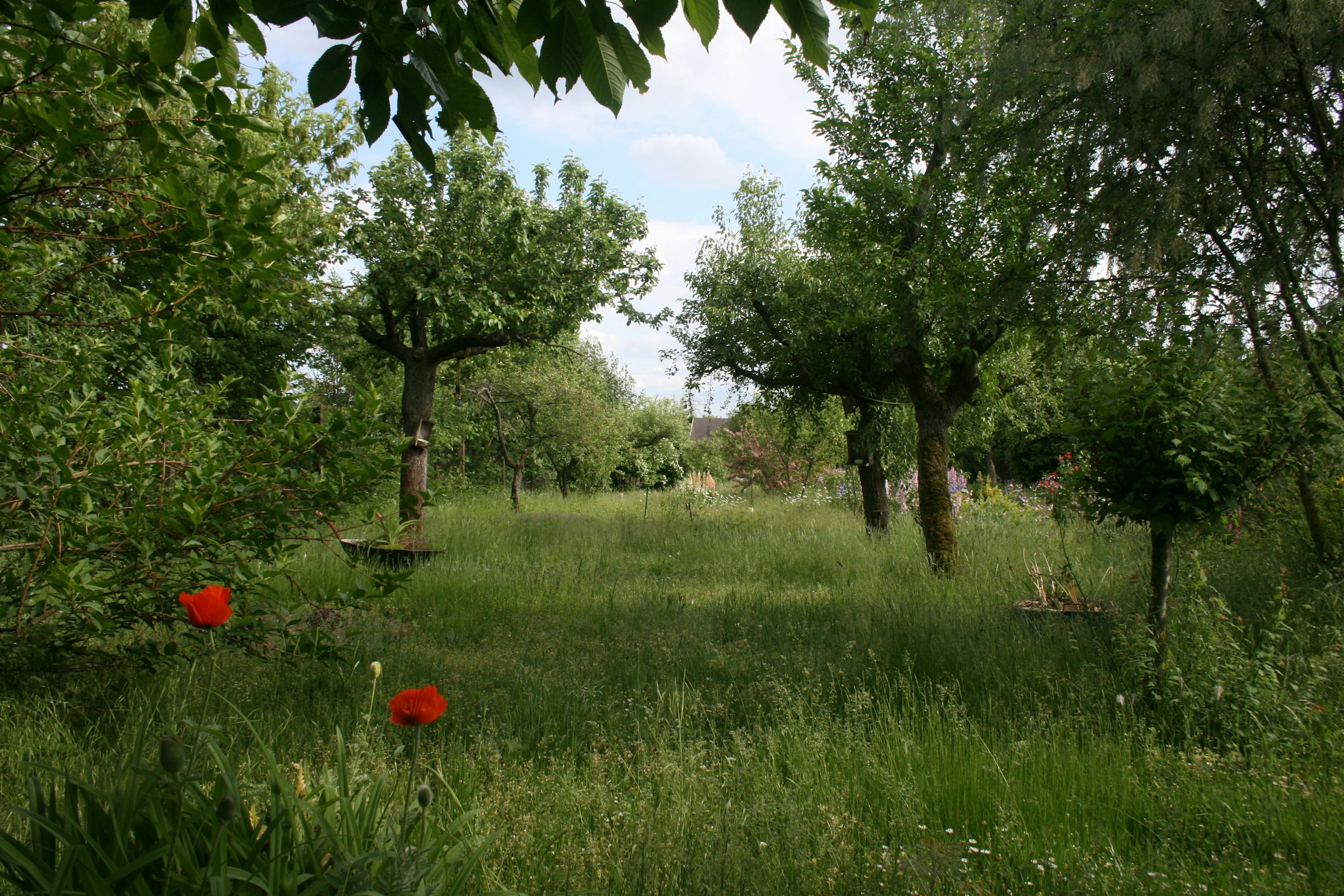 Unter Obstbäumen mit Weitblick