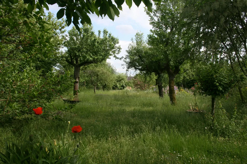 Unter Obstbäumen mit Weitblick