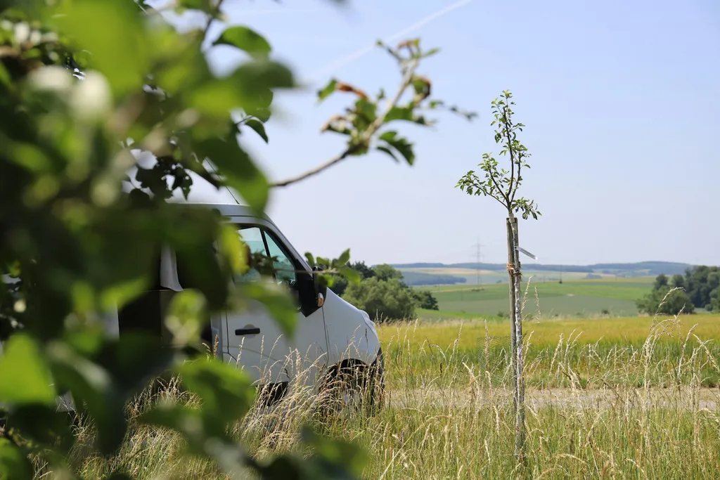 Wilde Ruhe auf naturnaher Obstwiese