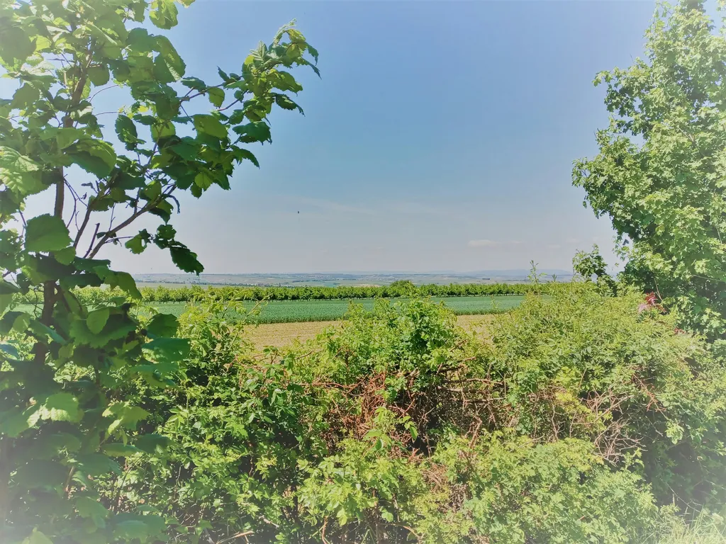 Zeltplatz mit Panoramaausblick