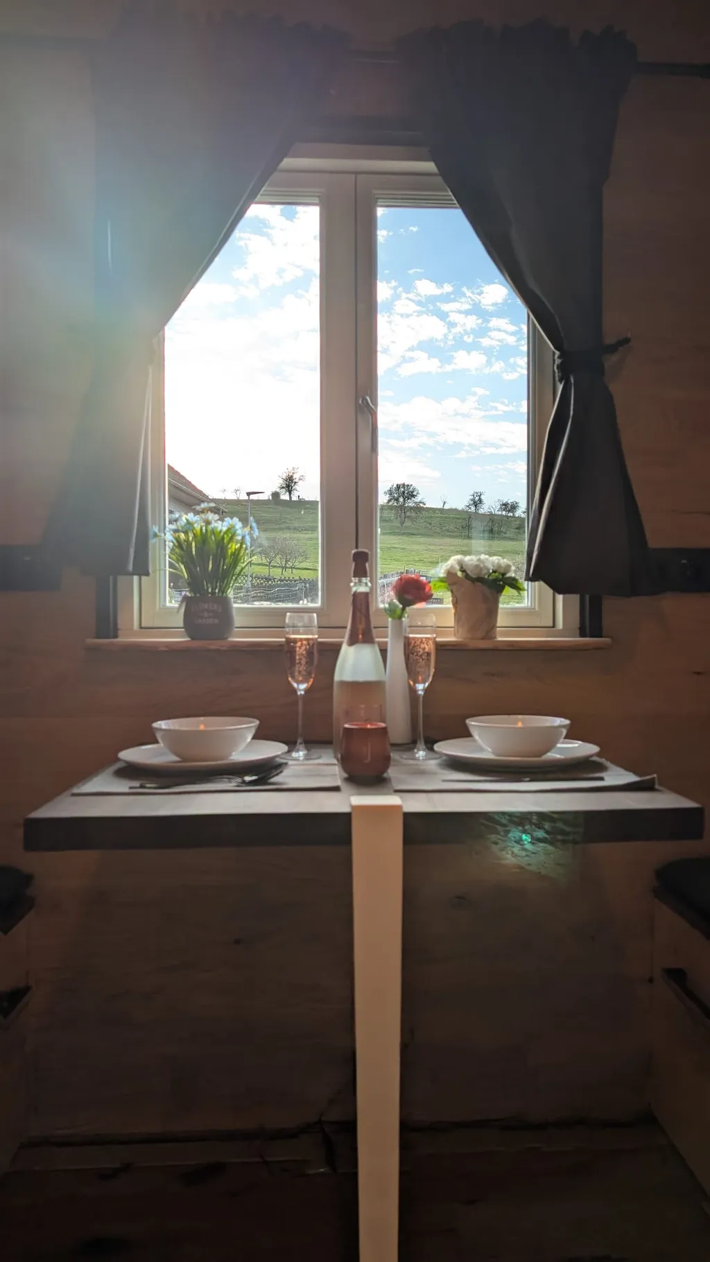 Tiny mit Blick in die Natur