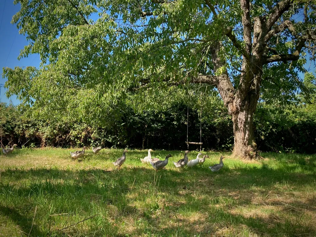 Stadtrandidyll, Camp im Wandelgrund