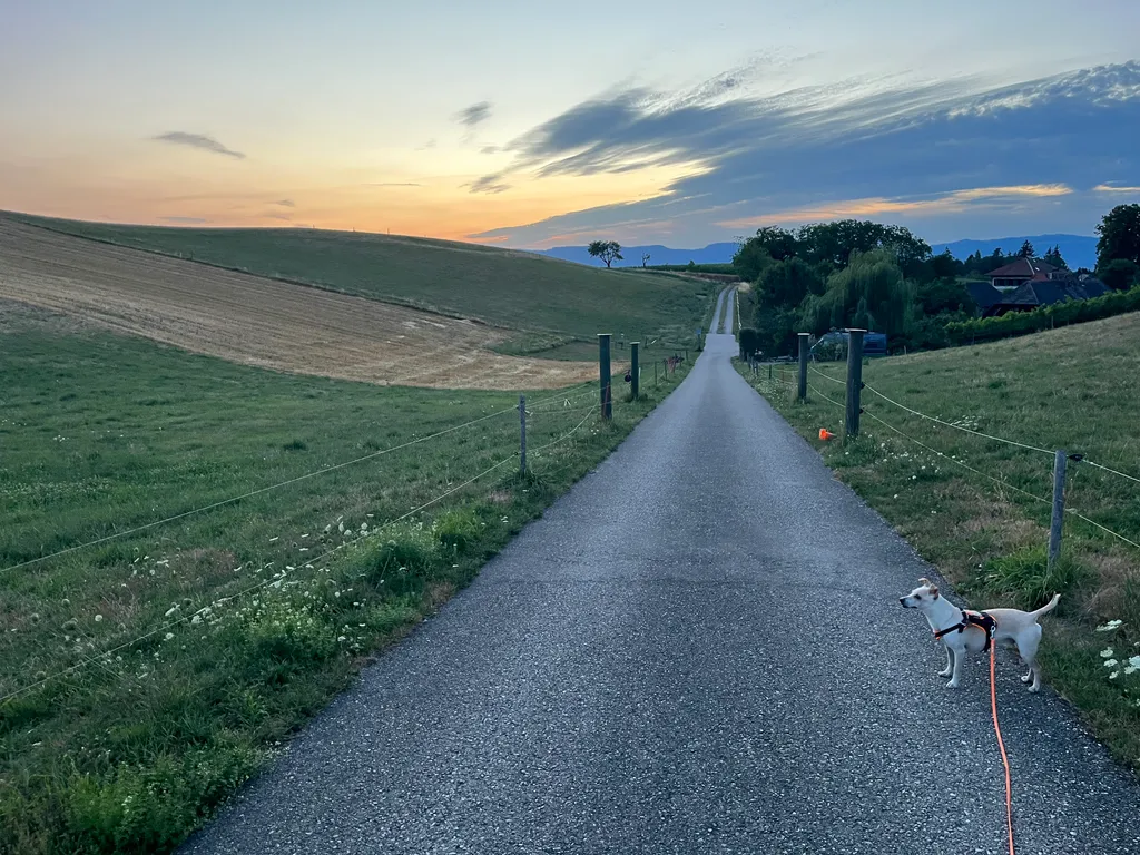 Bild von Jenny für den Spot 1259
