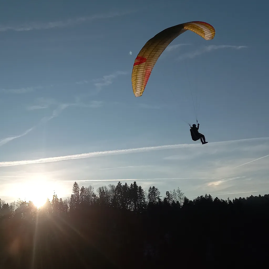 Rosetta & Bruno avatar