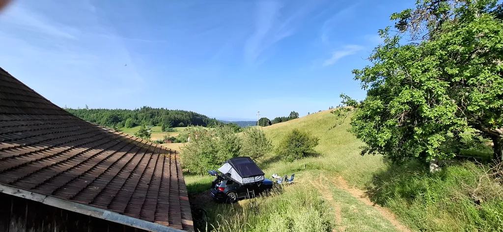 Immagine di Mert per lo spot 4479