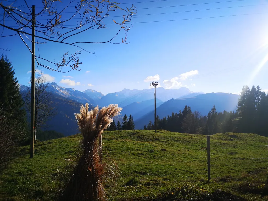 Bergnest in märchenhafter Alpenkulisse