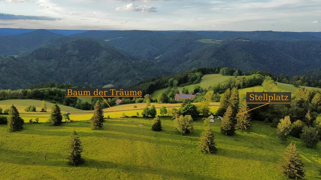 Beim Baum der Träume (Schwarzwald)