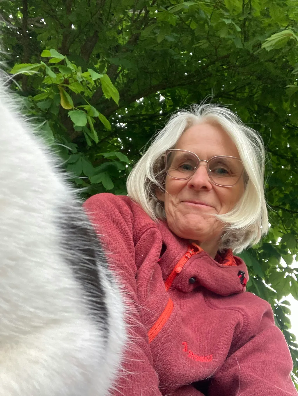 Profilbild von Swantje