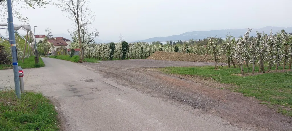 Camping Obstgarten Bodensee