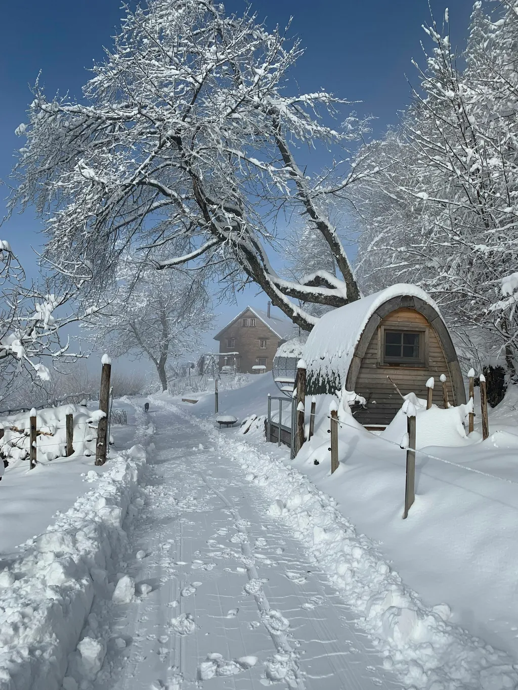 Camping Pod mitten im Naturgarten
