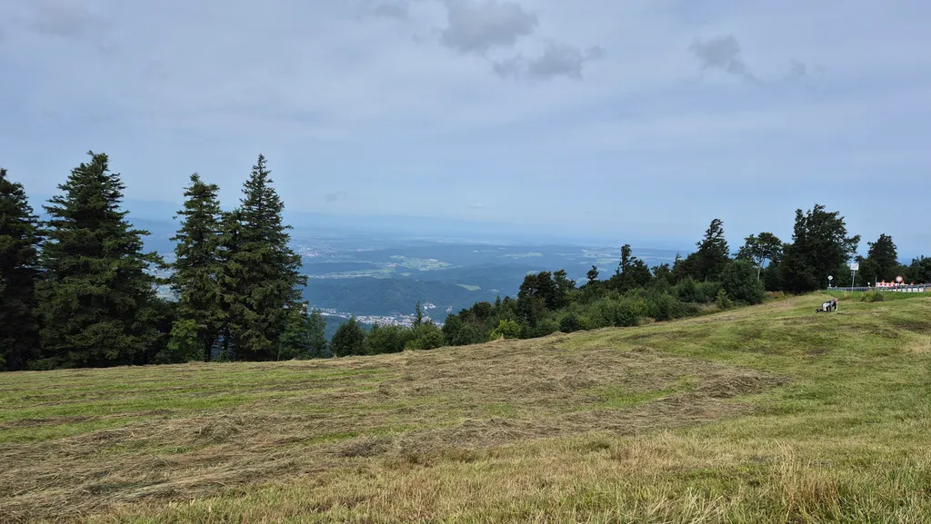 Bild von Roland für den Spot 1704