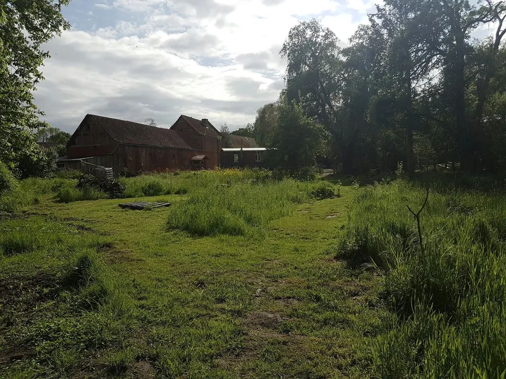 Bienengarten im Rundlingsdorf