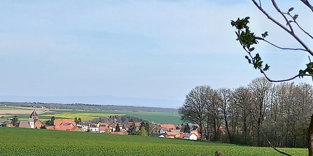 Landluft schnuppern (Kriegsfeld)