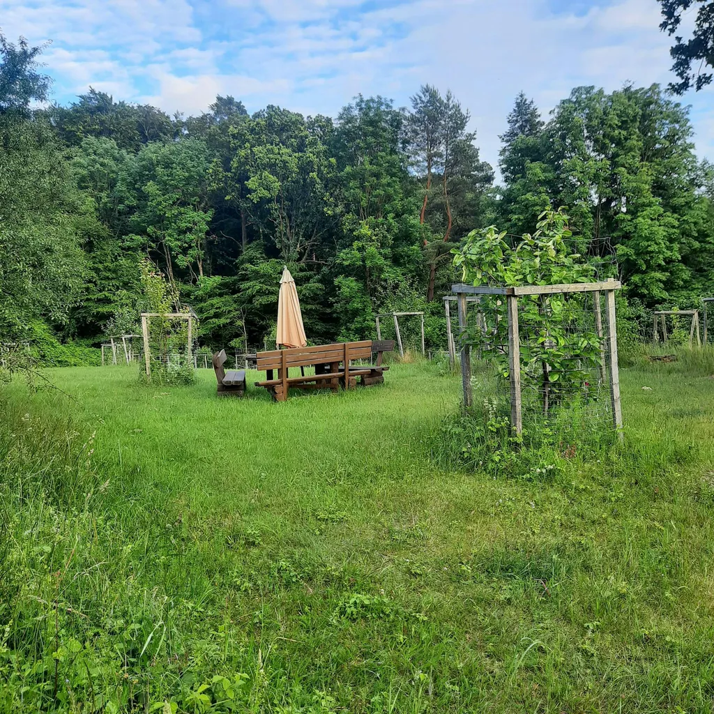 gemeinsamer Picnic Platz