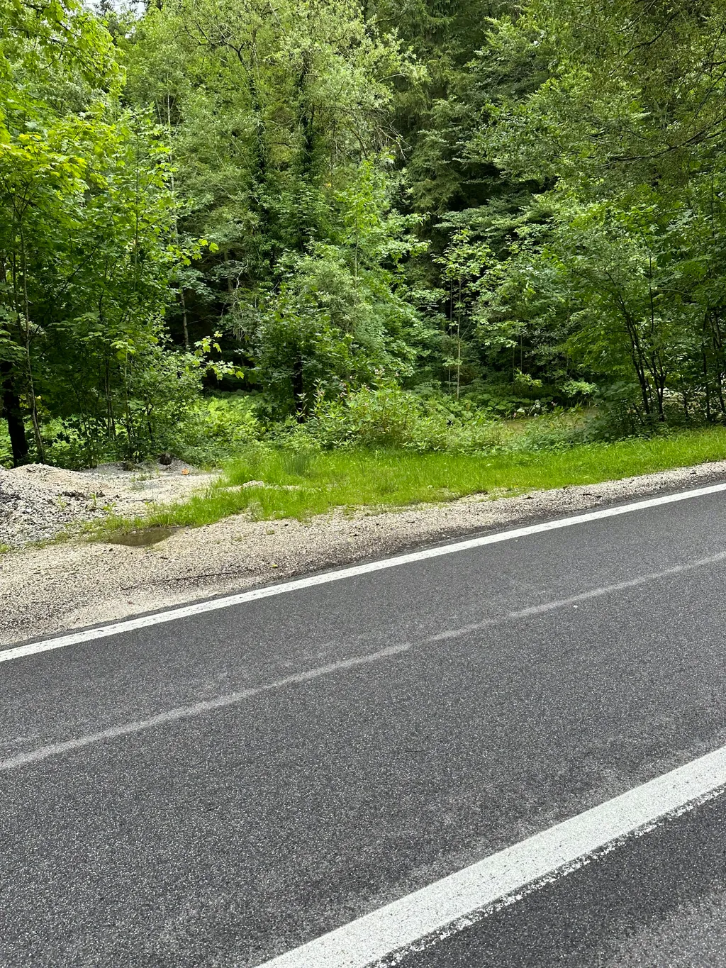 An der Wangauer Ache