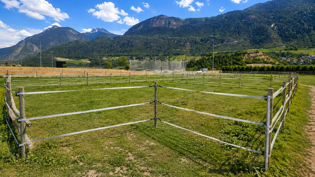Vue sur les Alpes & chevaux