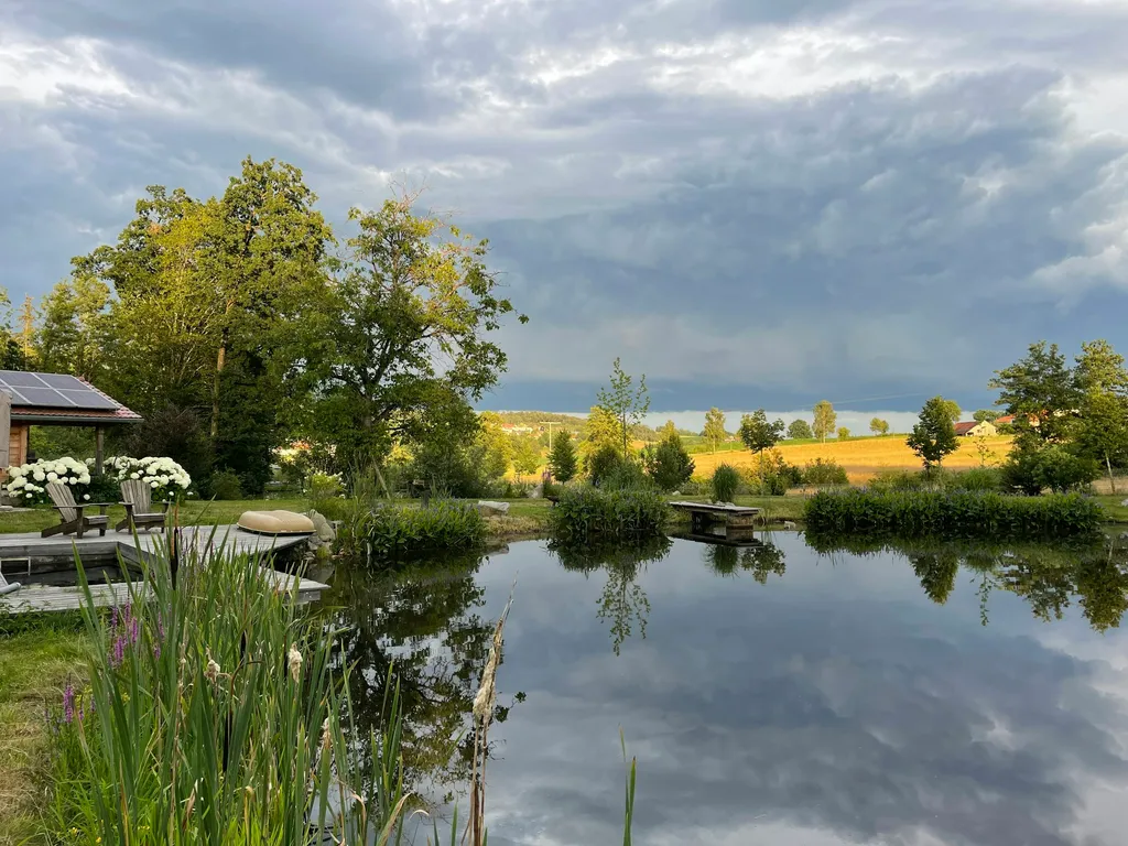 Wilde Heimat 1, Natur pur am Teich