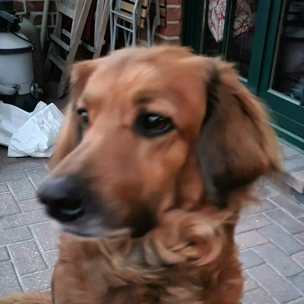 Profilbild von Bernd