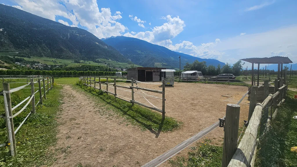 Vue sur les Alpes & chevaux