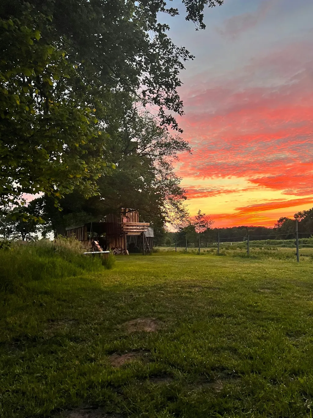 Wiese hinterm Haus neben Pferden