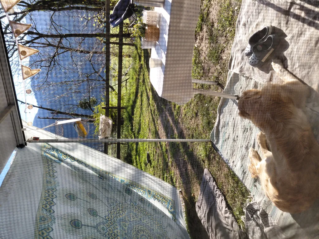 Bild von Simona für den Spot 189