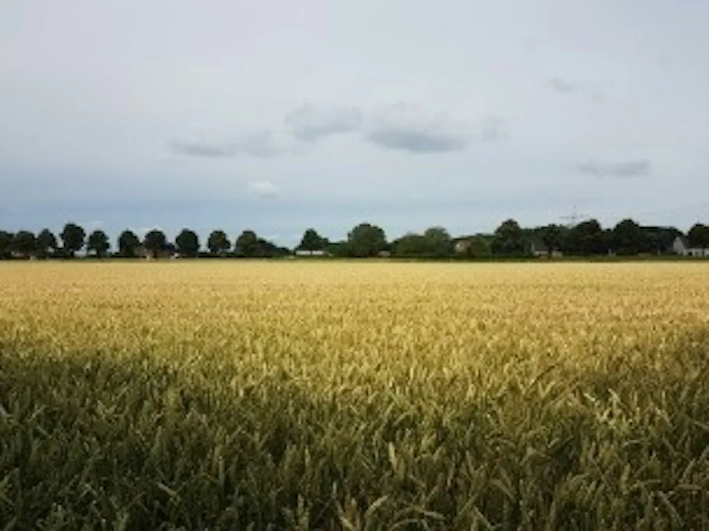 Zeltplatz für Radwanderer