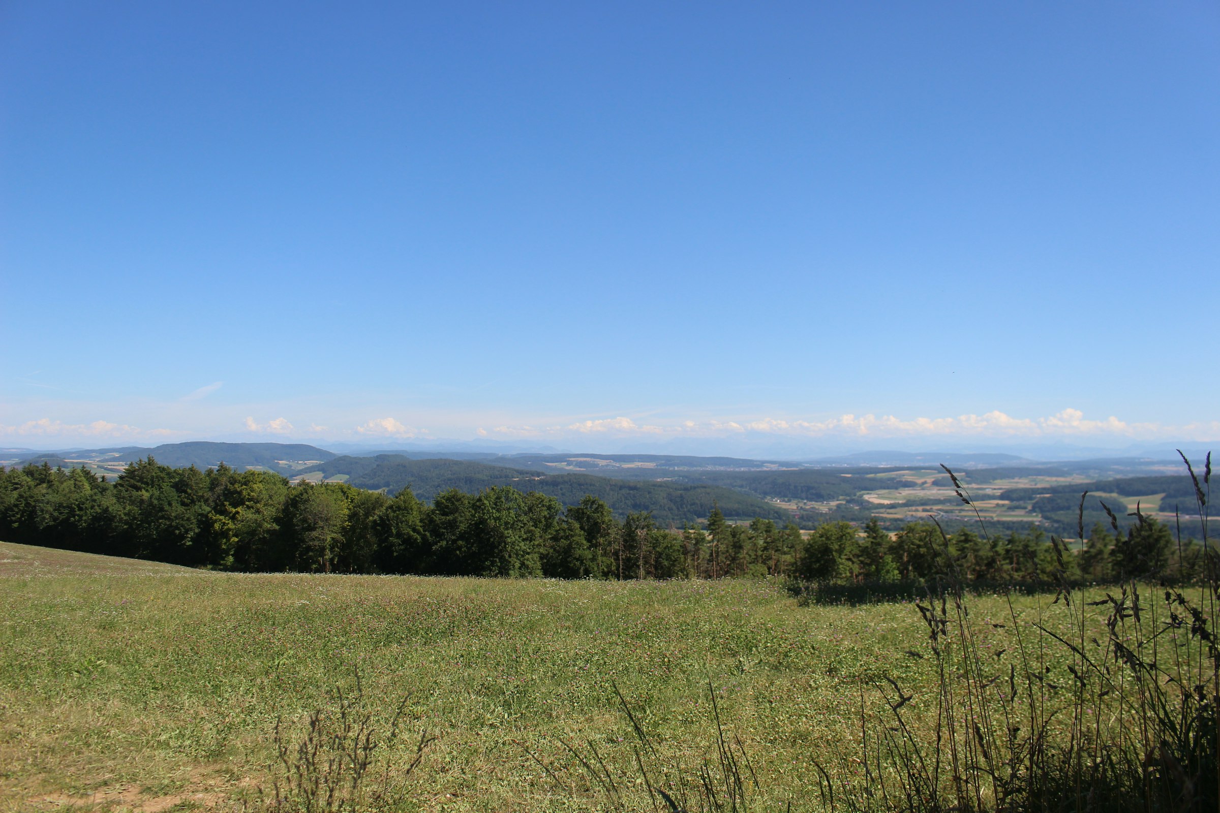 Klettgau Camp - auf dem Hügel