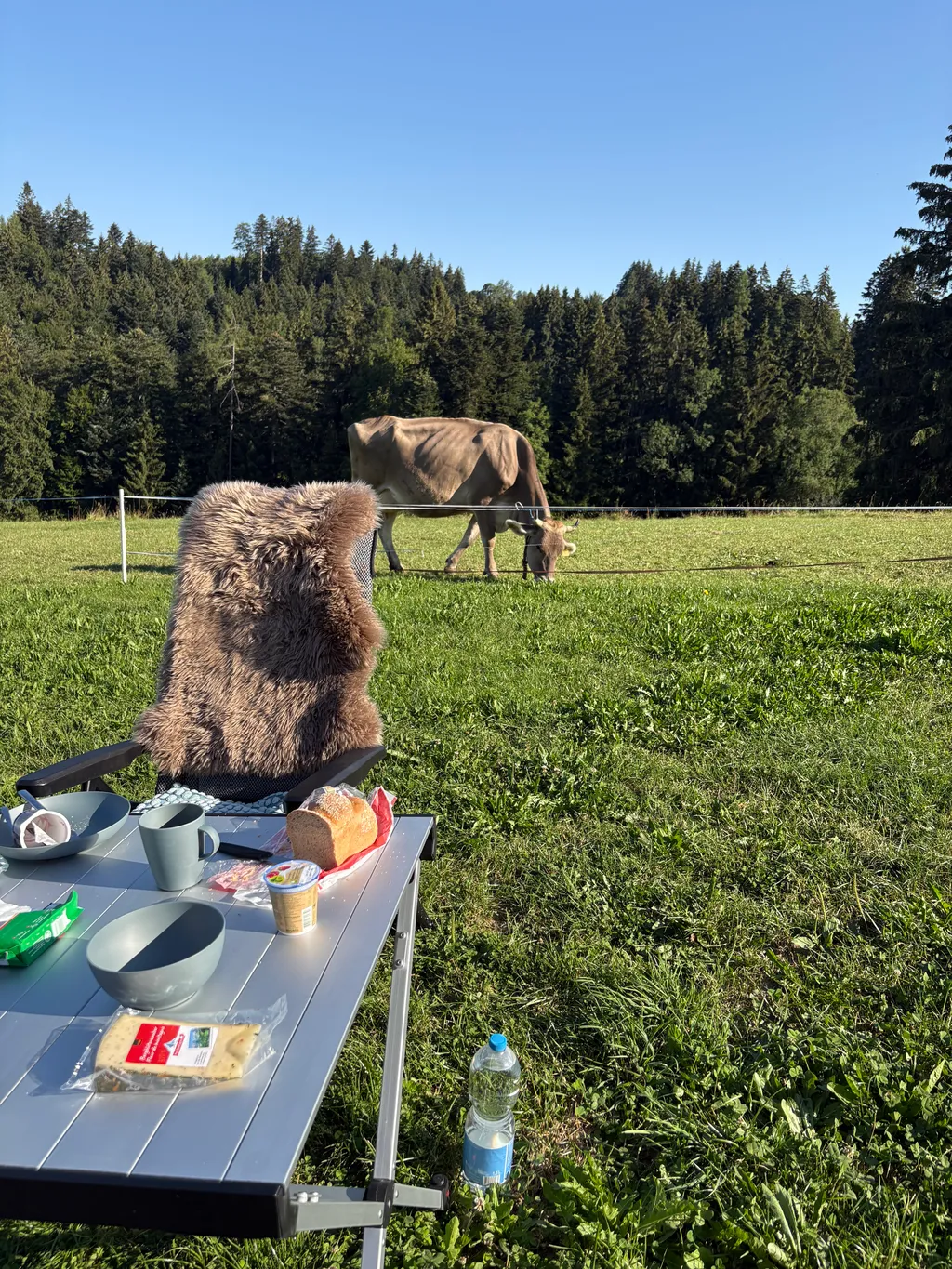 Bild von Sara für den Spot 4747